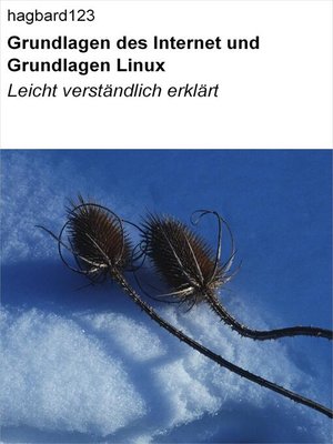 cover image of Grundlagen des Internet und Grundlagen Linux